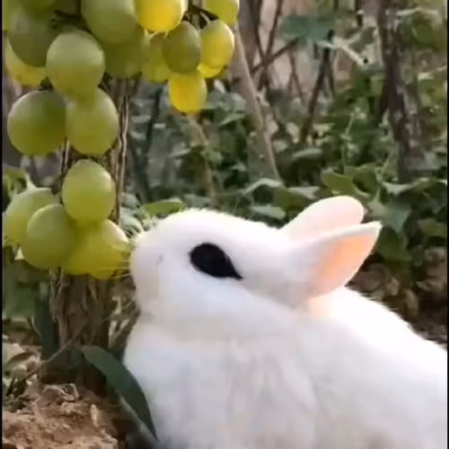 come we share - old - old - old