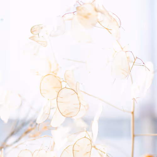 Coming home - source connectors