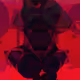 Commandos D/N