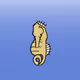 Common Seahorse #