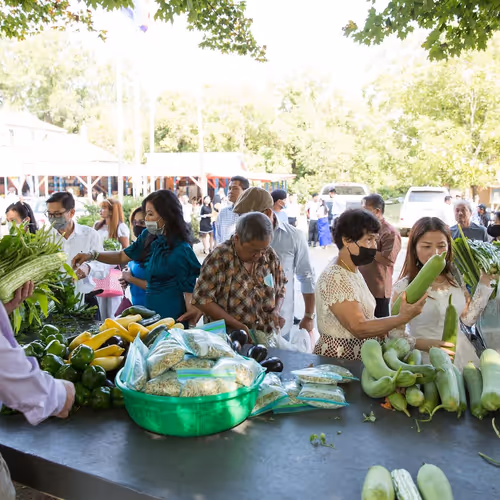 Community Sustainability