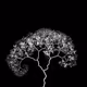 Generative Trees - old