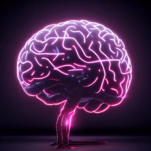 Computerized Brain