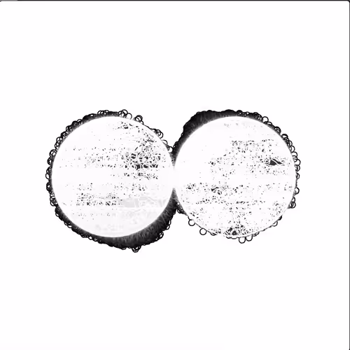 FUTURE NOW by Conceptlzd