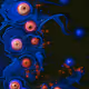 Connected by the same - old