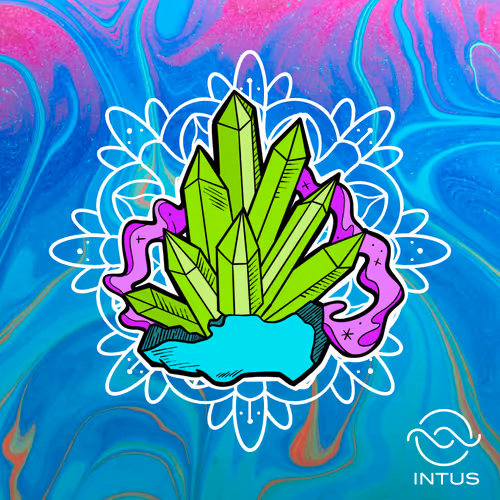 Conscious Enterprises / IntusApp