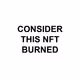 CONSIDER THIS NFT BURNED