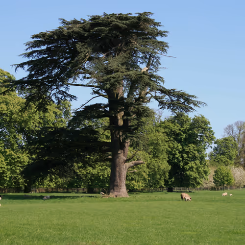 Constable Country Photography