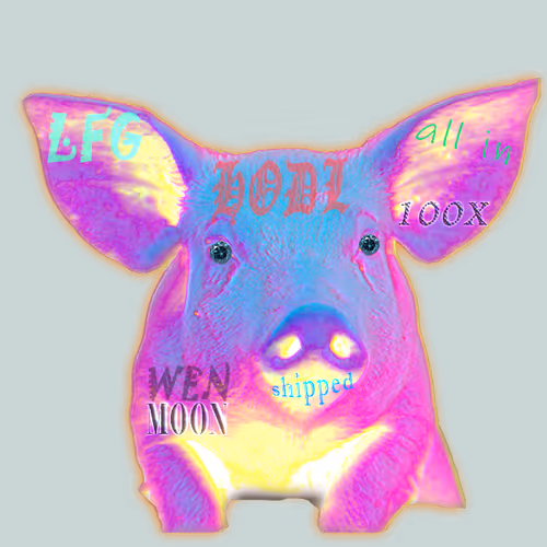 conviction crypto pig