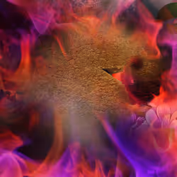 Item Media Placeholder