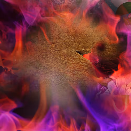 Cookie Birds  - Flame series 1