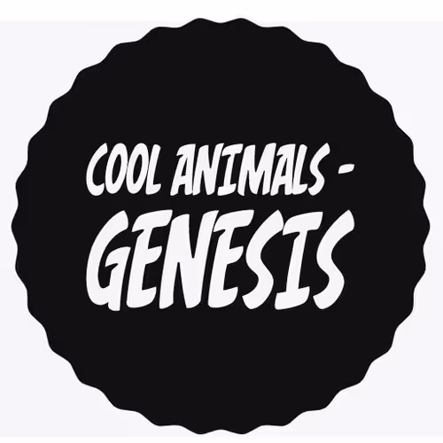 Cool Animals - Genesis