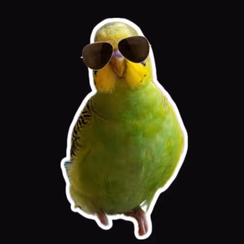 Cool Birds Club