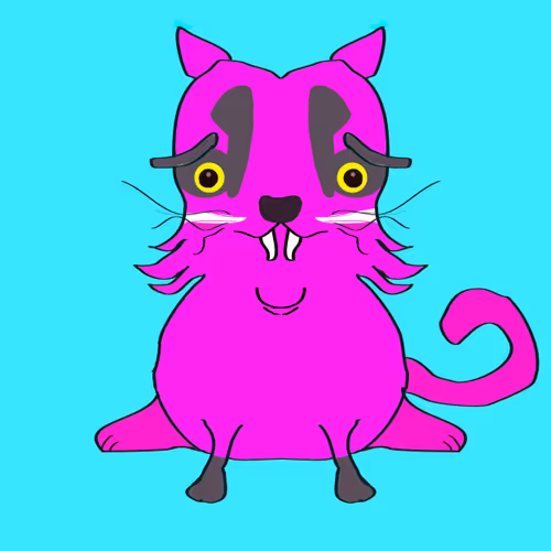 Cool Buddy Collection