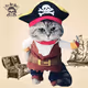 Cool cat V3