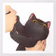 Cool Cute Cats NFT