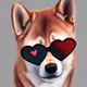 Cool_Doge Collection