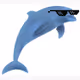 Cool Dolphin