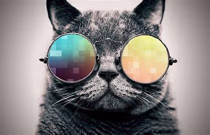 Cool Meow Meow!
