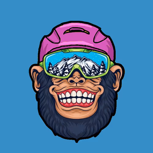 Cool Monkey NFT Collection - old
