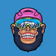 Cool Monkey NFT Collection - old
