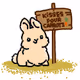 Cool Rabbits NFT