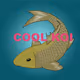 COOL KOI _ Nishikigoi