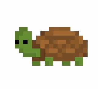 Cool Turts