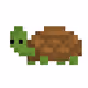 Cool Turts