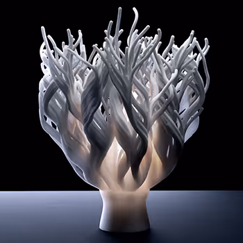 Coral Lighting Collection