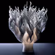 Coral Lighting Collection