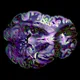 Core Neuro Art