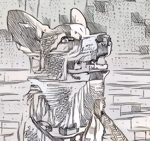 CORGODOGE
