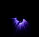 CORONA_05