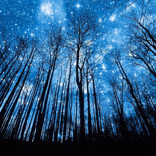 Cosmic_Collection - old