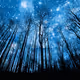 Cosmic_Collection - old