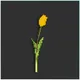 Cosmic Tulips