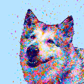 Cosmo Splash Animals