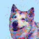 Cosmo Splash Animals