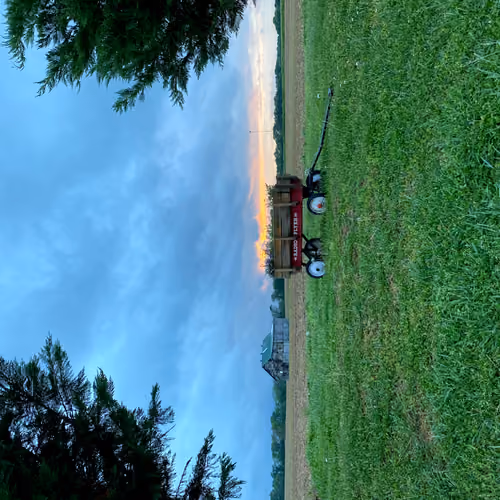 Country Day