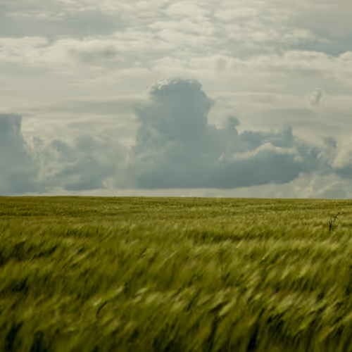 Countryside Song - old