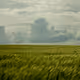 Countryside Song - old