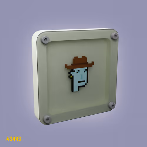 cowboy punk ... #3443 - old