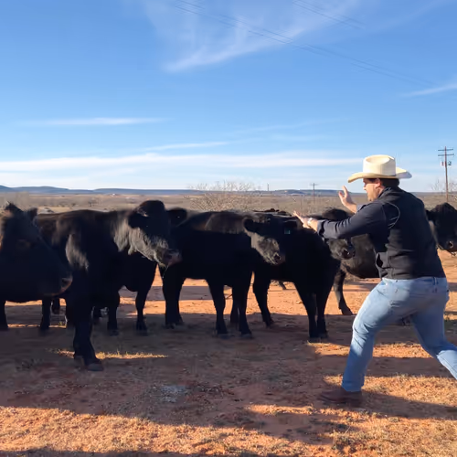 Cowboy things