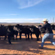 Cowboy things