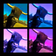 Colorful Cow Collage