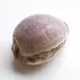 Cowrie Shells: A Currency of the Past, a Symbol of the Future