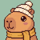 CozyBara