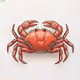 Crabfish Arc Club