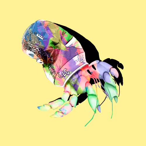 FASHION CRABWALK - old V2